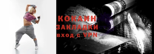 стаф Алексин